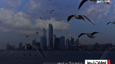 شرایط زندگی در ابوظبی