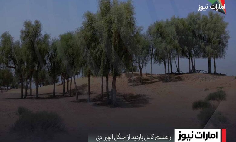 راهنمای کامل بازدید از جنگل الهیر دبی