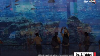 آکواریوم و باغ وحش زیر آب دبی