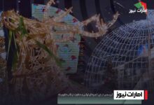 کریسمس در دبی